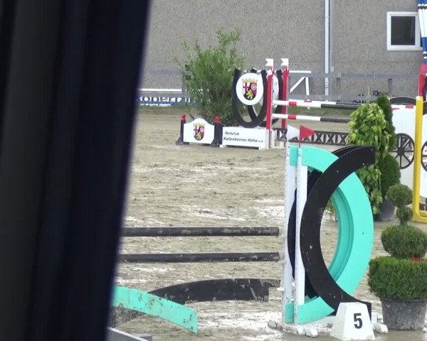 Reitturnier Kalenborn Hegehof 2016
