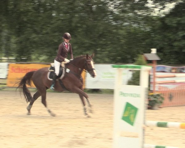 Reitturnier Schwerte-Gut Kückshausen 2016