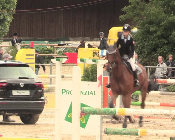 Reitturnier Schwerte-Gut Kückshausen 2016