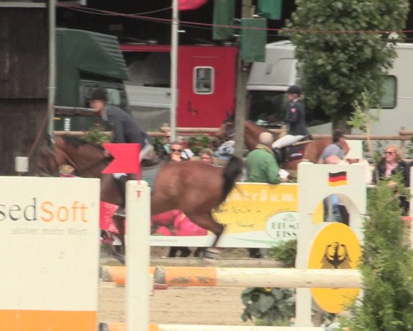 Reitturnier Schwerte-Gut Kückshausen 2016