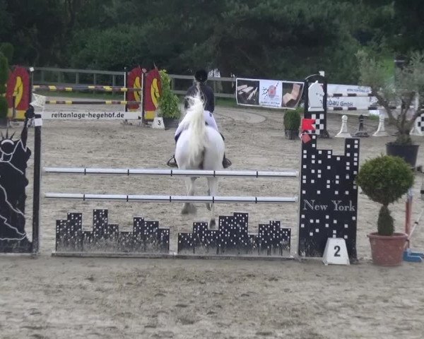Reitturnier Kalenborn Hegehof 2016