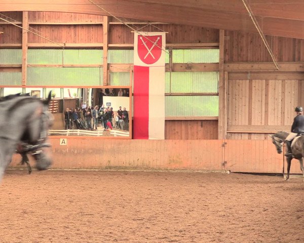 Reitturnier Schwerte-Gut Kückshausen 2016