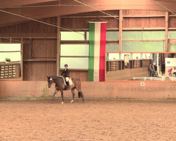 Reitturnier Schwerte-Gut Kückshausen 2016