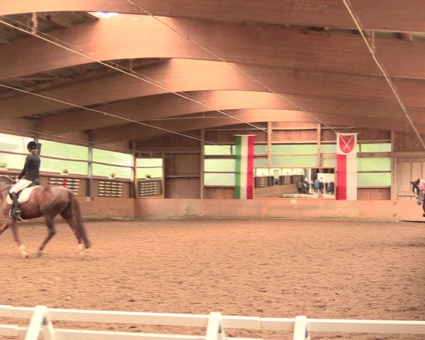 Reitturnier Schwerte-Gut Kückshausen 2016