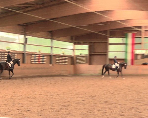 Reitturnier Schwerte-Gut Kückshausen 2016