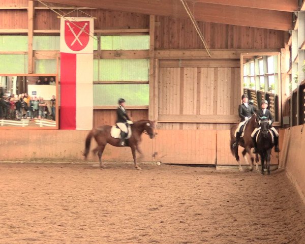 Reitturnier Schwerte-Gut Kückshausen 2016