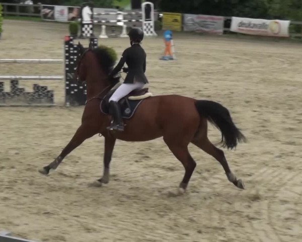 Reitturnier Kalenborn Hegehof 2016