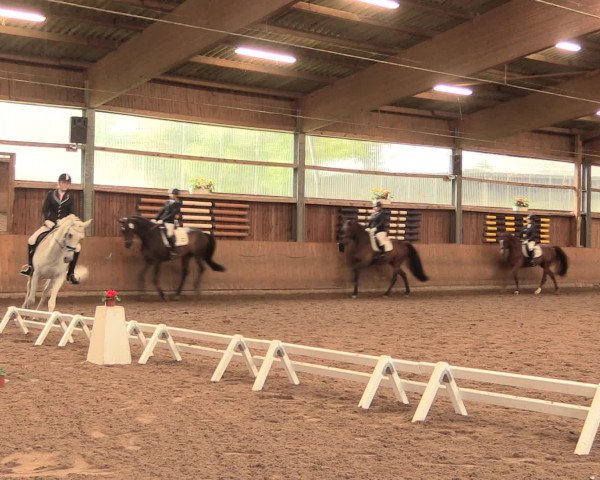 Reitturnier Schwerte-Gut Kückshausen 2016