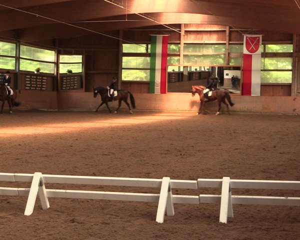 Reitturnier Schwerte-Gut Kückshausen 2016