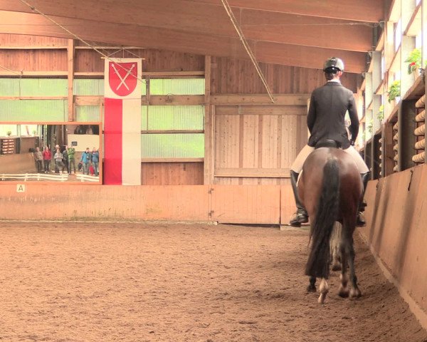 Reitturnier Schwerte-Gut Kückshausen 2016