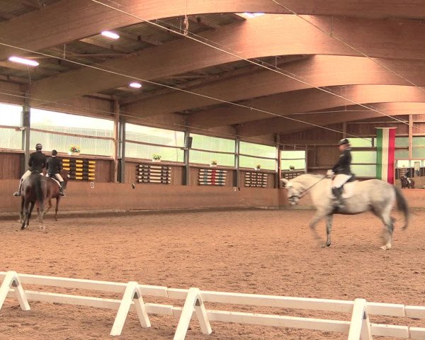 Reitturnier Schwerte-Gut Kückshausen 2016