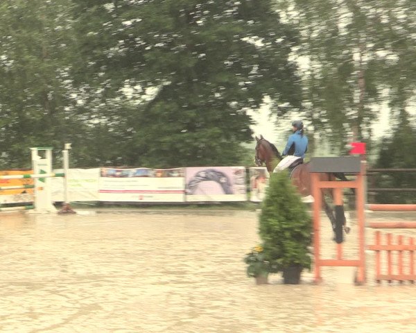 Reitturnier Schwerte-Gut Kückshausen 2016