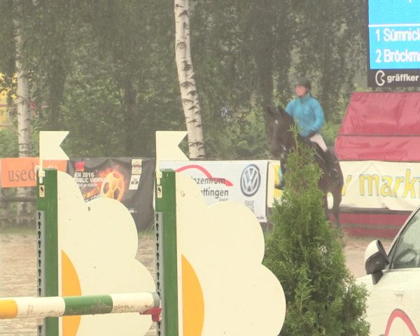 Reitturnier Schwerte-Gut Kückshausen 2016