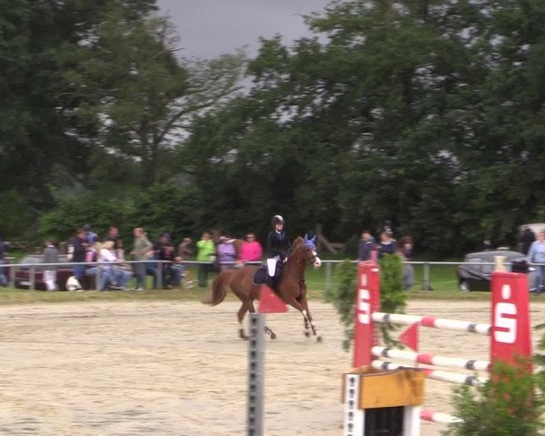 Coesfelder Reitertage 2016