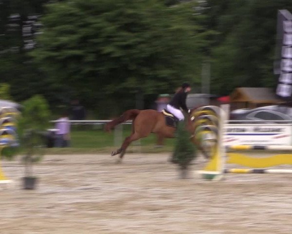 Coesfelder Reitertage 2016