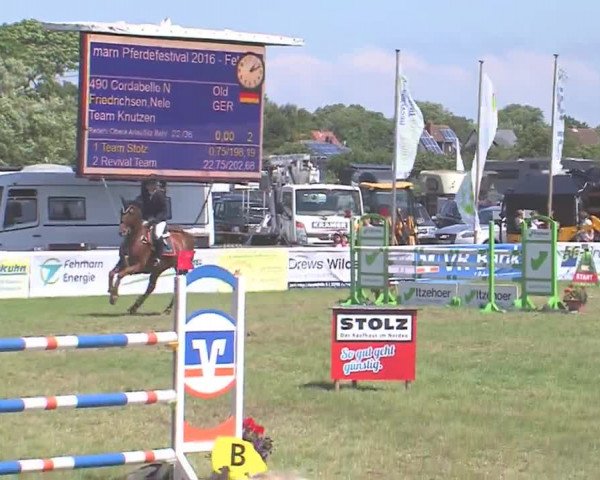 Fehmarn-Pferde-Festival  2016