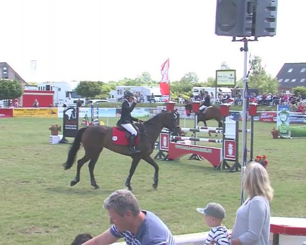 Fehmarn-Pferde-Festival  2016