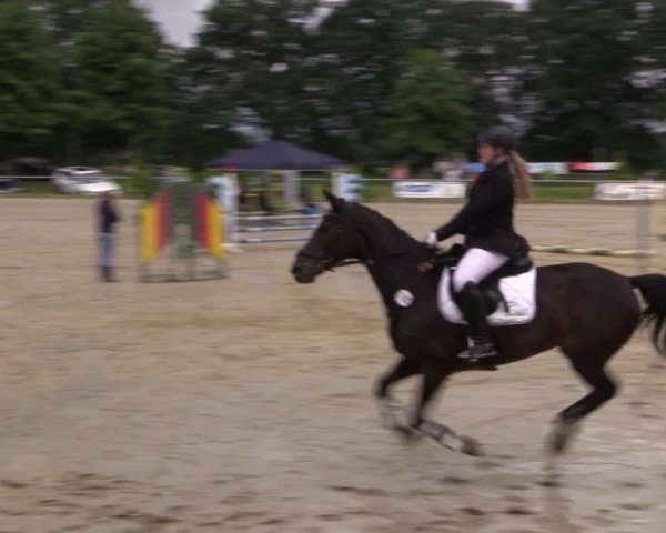 Coesfelder Reitertage 2016