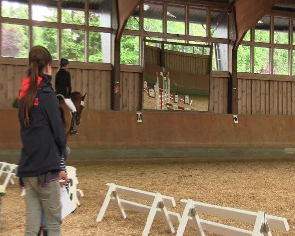 Reitturnier Fröndenberg 2016