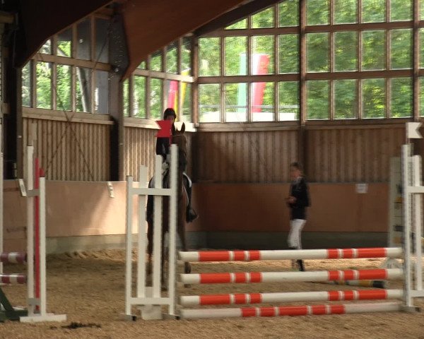 Reitturnier Fröndenberg 2016