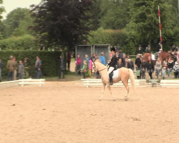 Reitturnier Fröndenberg 2016