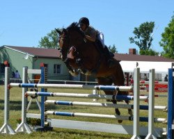 jumper Otara (German Sport Horse, 2010, from Olympic Fire 5)