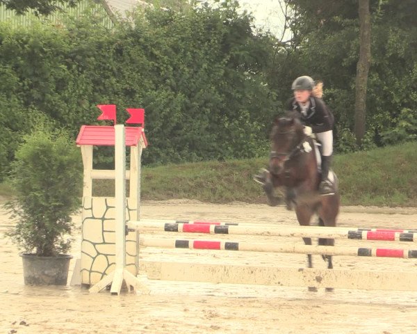 Reitturnier Fröndenberg 2016
