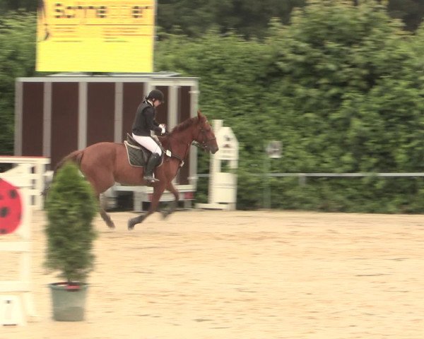Reitturnier Fröndenberg 2016
