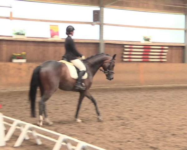 Reitturnier Schwerte-Gut Kückshausen 2016