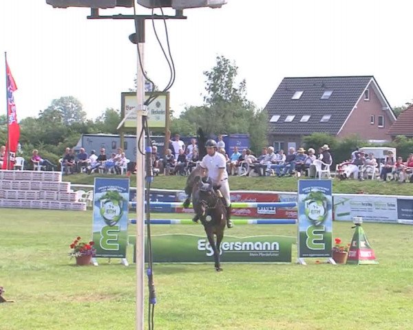 Fehmarn-Pferde-Festival  2016