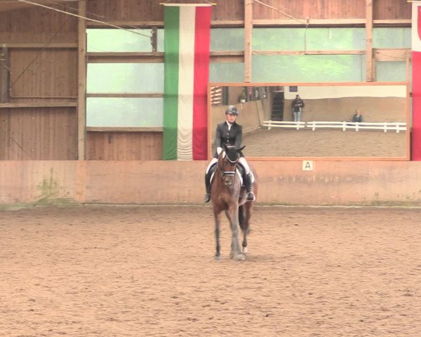Reitturnier Schwerte-Gut Kückshausen 2016