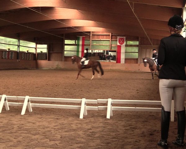 Reitturnier Schwerte-Gut Kückshausen 2016