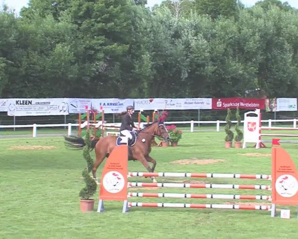Reitturnier Marne 2016