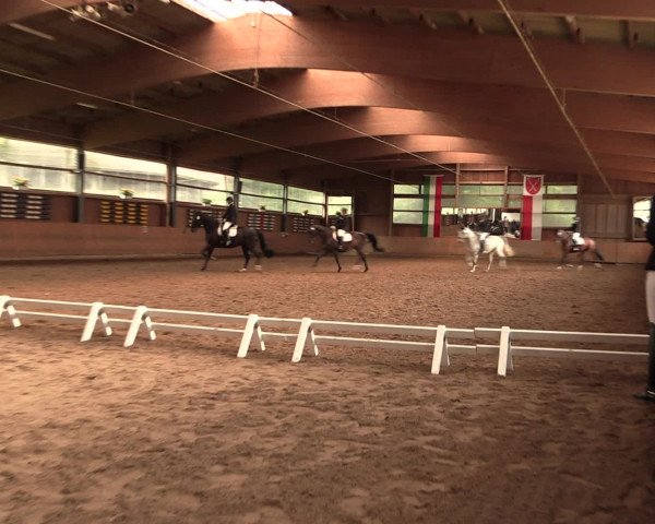 Reitturnier Schwerte-Gut Kückshausen 2016