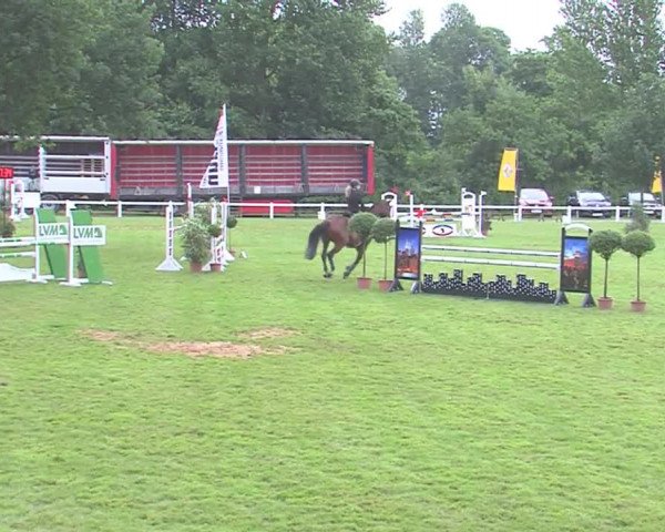 Reitturnier Marne 2016