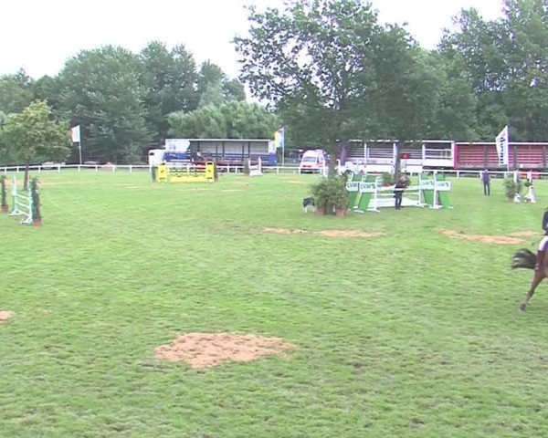 Reitturnier Marne 2016