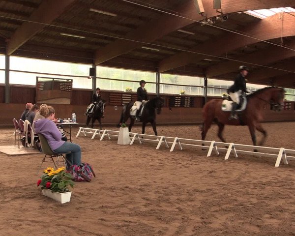 Reitturnier Schwerte-Gut Kückshausen 2016