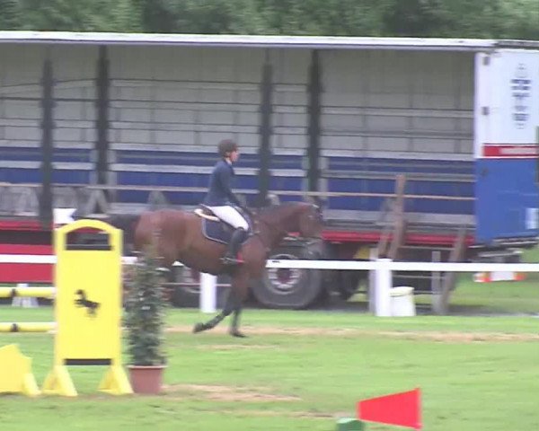 Reitturnier Marne 2016
