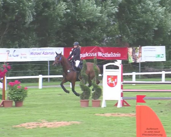Reitturnier Marne 2016