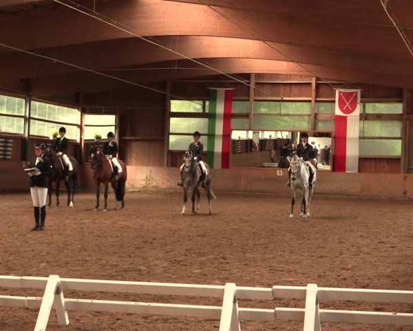 Reitturnier Schwerte-Gut Kückshausen 2016