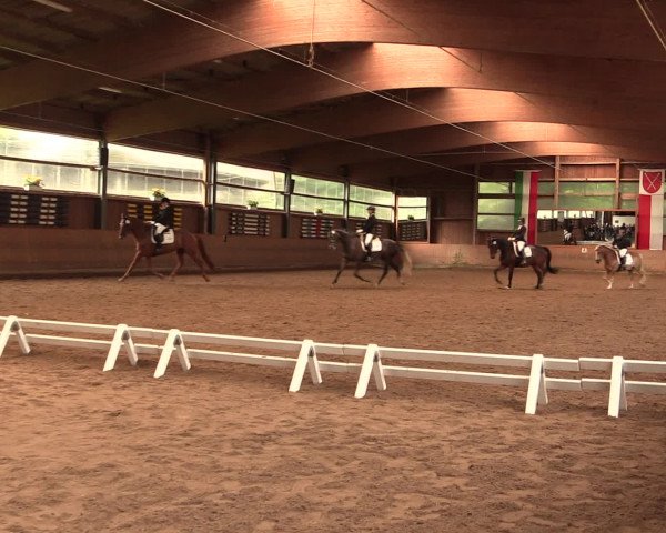 Reitturnier Schwerte-Gut Kückshausen 2016