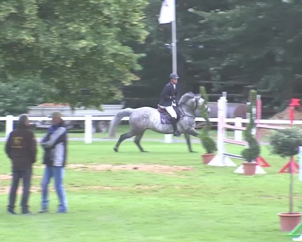 Reitturnier Marne 2016