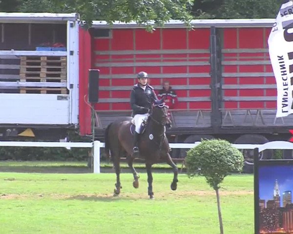 Reitturnier Marne 2016