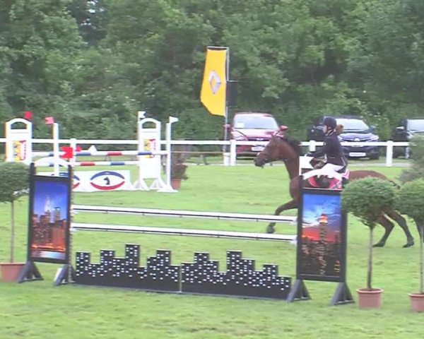 Reitturnier Marne 2016
