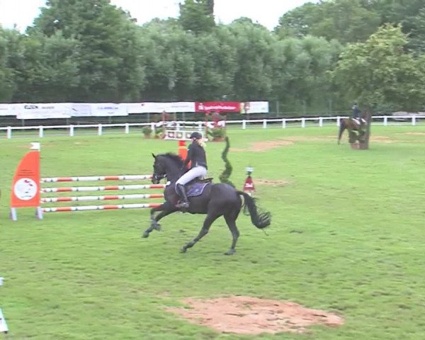 Reitturnier Marne 2016