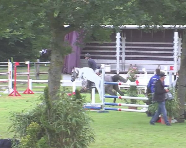 Reitturnier Marne 2016