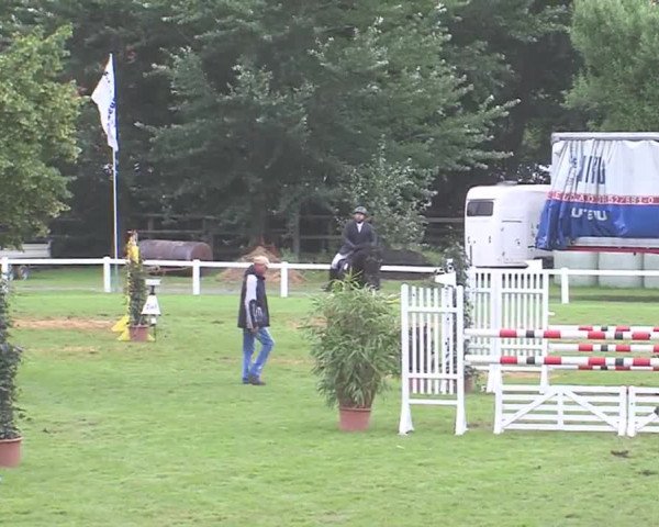 Reitturnier Marne 2016