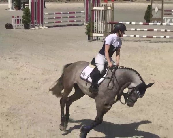 Reitturnier Ingolstadt-Hagau 2016