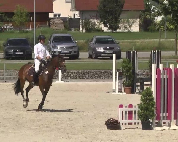 Reitturnier Ingolstadt-Hagau 2016