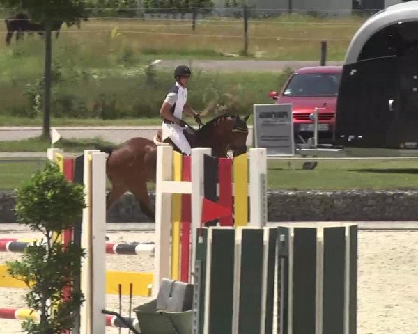Reitturnier Ingolstadt-Hagau 2016